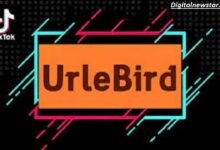 urlebird