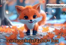 cute:vckxjxf4zh0= fox