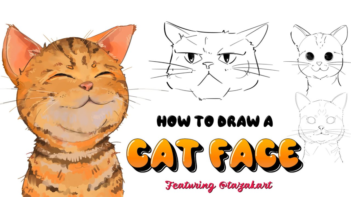 How to Draw a Cat: A Fun and Easy Step-by-Step Guide