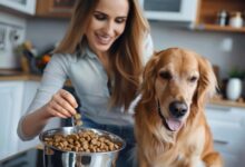 Chewy Dog Food